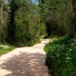 San Vicente impulsa rutas naturales para potenciar el turismo rural en el interior del municipio